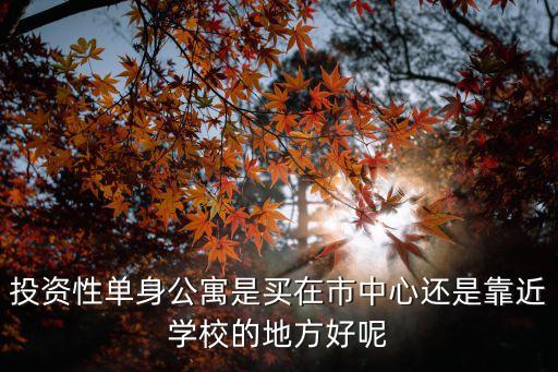 投资性单身公寓是买在市中心还是靠近学校的地方好呢