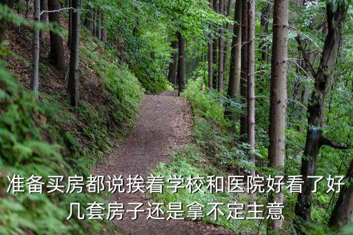 准备买房都说挨着学校和医院好看了好几套房子还是拿不定主意