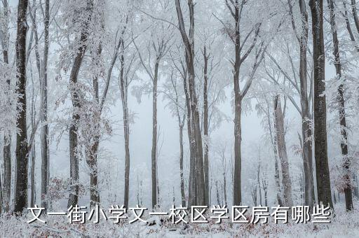 文一街小学文一校区学区房有哪些