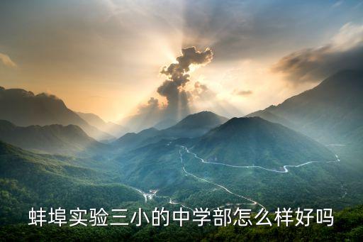 蚌埠学区房缺点有哪些，有谁知道蚌埠琥珀新天地的房子怎样