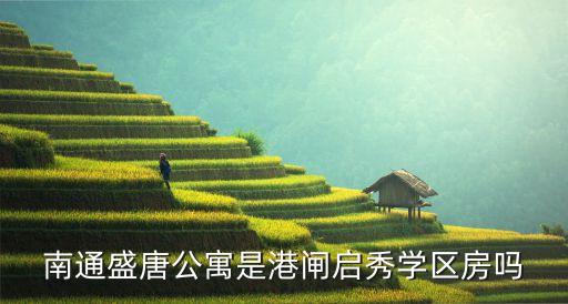 南通盛唐公寓是港闸启秀学区房吗