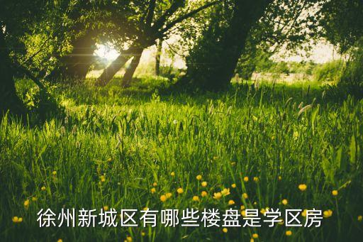 徐州新城区有哪些楼盘是学区房