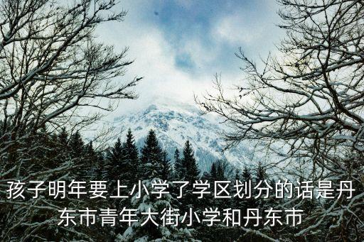 孩子明年要上小学了学区划分的话是丹东市青年大街小学和丹东市