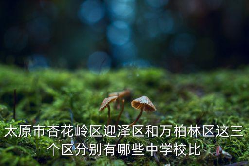 太原市杏花岭区迎泽区和万柏林区这三个区分别有哪些中学校比