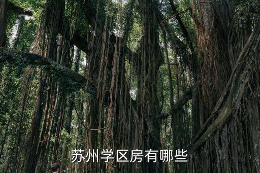 东湖区学区房哪个好，苏州学区房有哪些