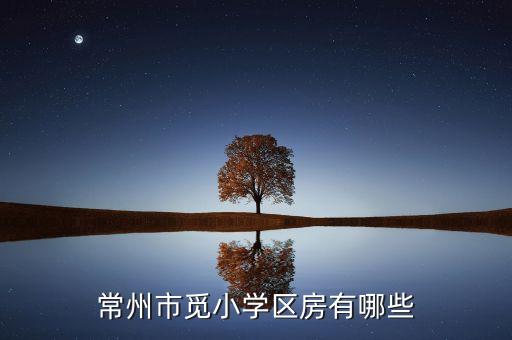常州市觅小学区房有哪些
