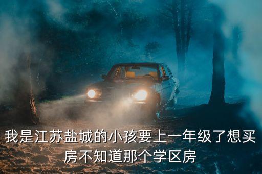 我是江苏盐城的小孩要上一年级了想买房不知道那个学区房