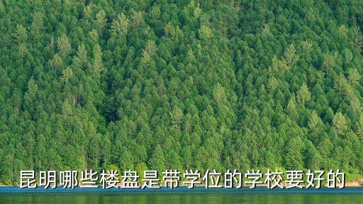 昆明哪些楼盘是带学位的学校要好的