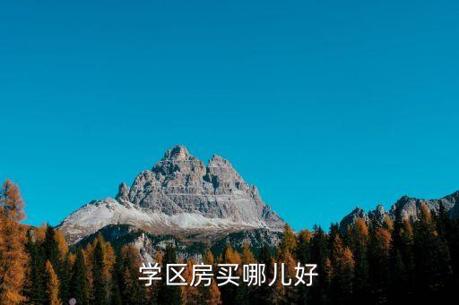 学区房买哪儿好