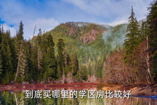 哪个区的学区房性价比最高，非上海户籍择校哪些区域学区房比较好