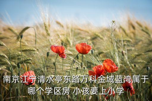 南京江宁清水亭东路万科金域蓝湾属于哪个学区房 小孩要上小学