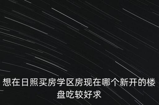 想在日照买房学区房现在哪个新开的楼盘吃较好求