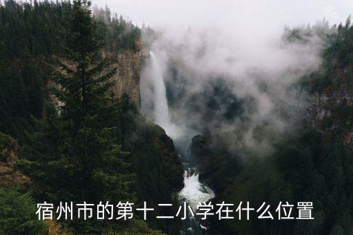 宿州市的第十二小学在什么位置