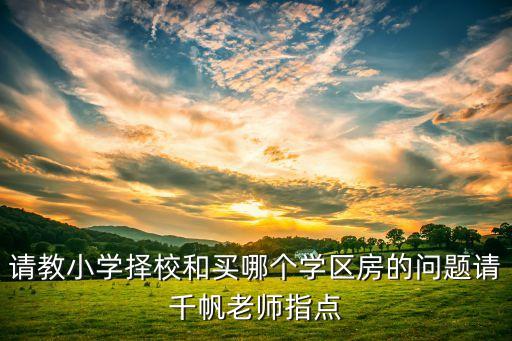请教小学择校和买哪个学区房的问题请千帆老师指点
