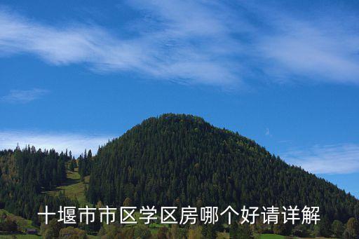 十堰市市区学区房哪个好请详解