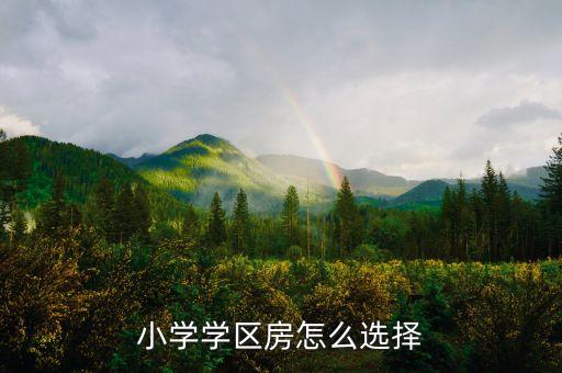 小学学区房怎么选择