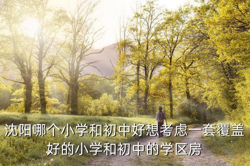 沈阳哪个小学和初中好想考虑一套覆盖好的小学和初中的学区房