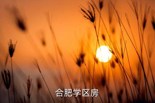 合肥学区房