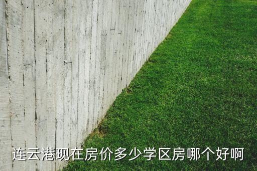 连云港现在房价多少学区房哪个好啊