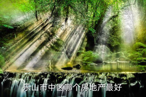 乐山市中区哪个房地产最好