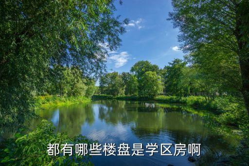 都有哪些楼盘是学区房啊