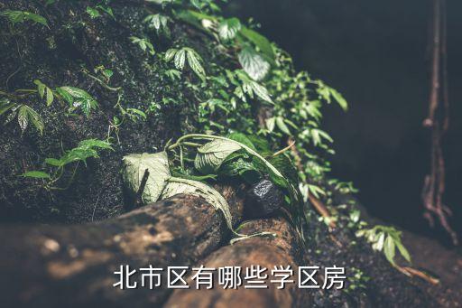 北市区有哪些学区房
