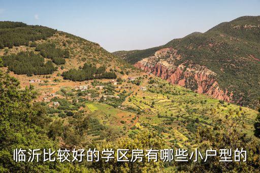 临沂比较好的学区房有哪些小户型的