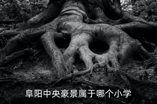 阜阳中央豪景属于哪个小学