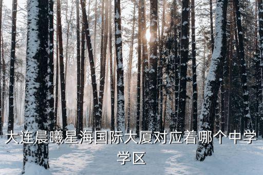 大连晨曦星海国际大厦对应着哪个中学学区
