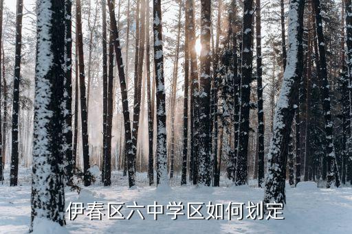 伊春区六中学区如何划定