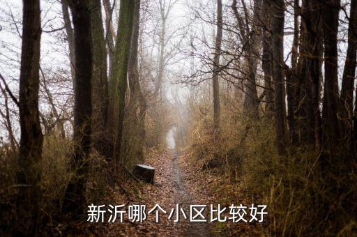新沂一中学区房哪个小区好，临沂哪里学区房好一点