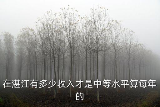 在湛江有多少收入才是中等水平算每年的