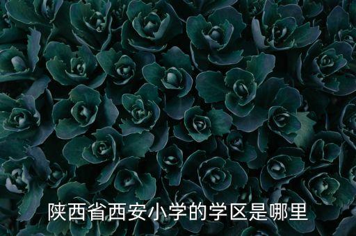 陕西省西安小学的学区是哪里