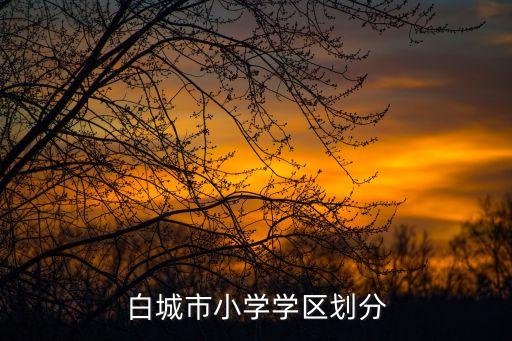 白城市小学学区划分