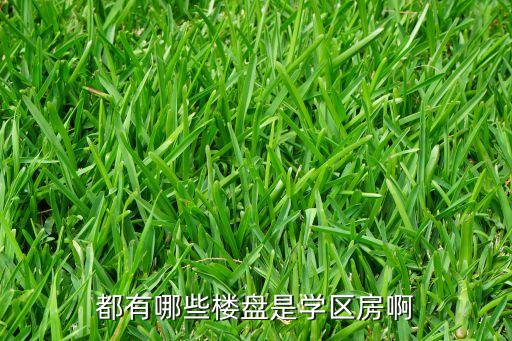 都有哪些楼盘是学区房啊