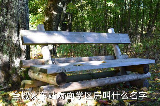 全椒火车站对面学区房叫什么名字