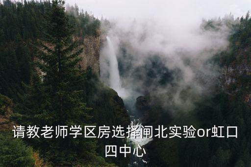 上海的学区房哪个好卖些，请教老师学区房选择闸北实验or虹口四中心