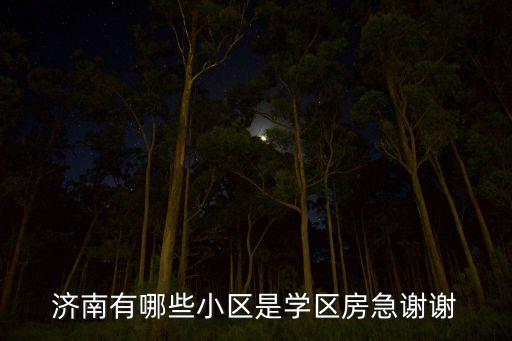济南有哪些小区是学区房急谢谢