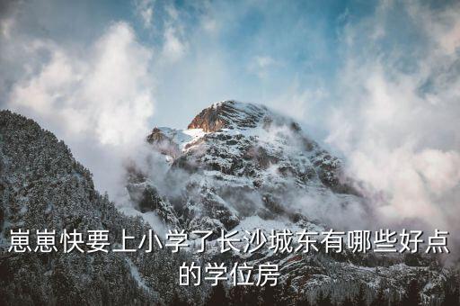 崽崽快要上小学了长沙城东有哪些好点的学位房