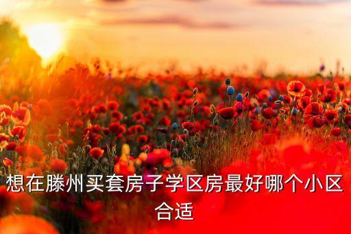 想在滕州买套房子学区房最好哪个小区合适