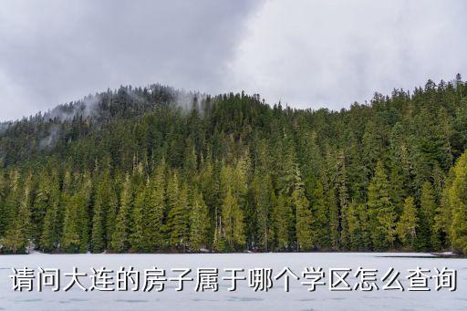 请问大连的房子属于哪个学区怎么查询