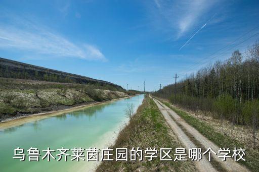 乌鲁木齐莱茵庄园的学区是哪个学校