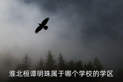 淮北桓谭明珠属于哪个学校的学区