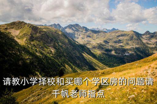 请教小学择校和买哪个学区房的问题请千帆老师指点