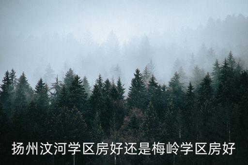 扬州汶河学区房好还是梅岭学区房好