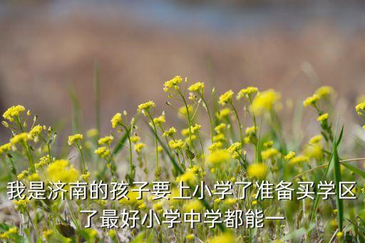 我是济南的孩子要上小学了准备买学区了最好小学中学都能一