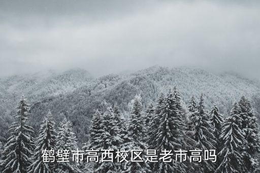 鹤壁市高西校区是老市高吗