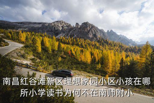 理想家园的初中学区房是哪个学校，户口在红谷滩理想家园中学应该到哪个学校读书