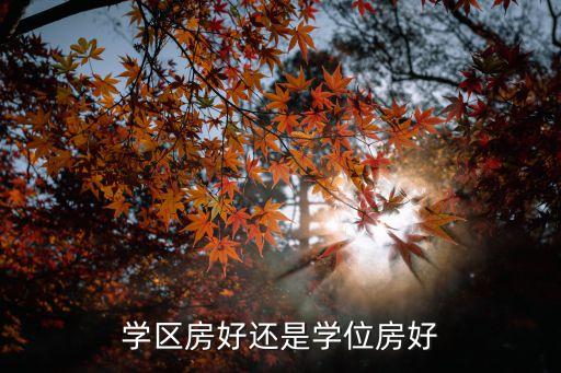 学区房好还是学位房好