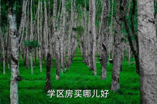 学区房买哪儿好